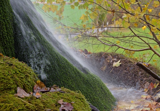 Wasserbaum Ockensen (4)