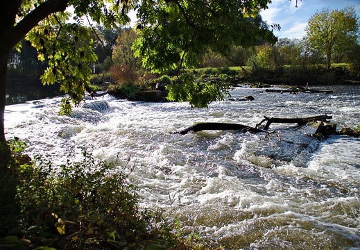 Wasserfall Neustadt (3)