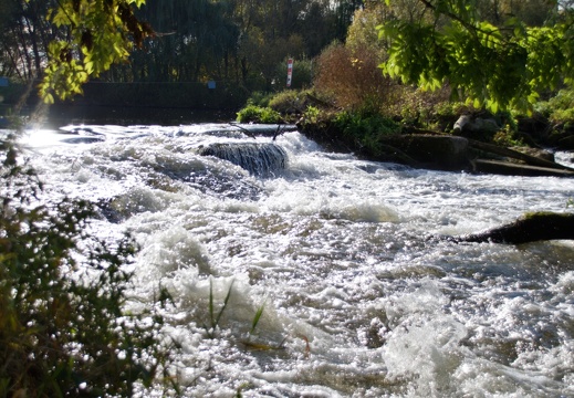 Wasserfall Neustadt (5)