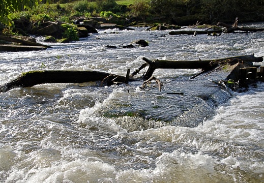 Wasserfall Neustadt (7)