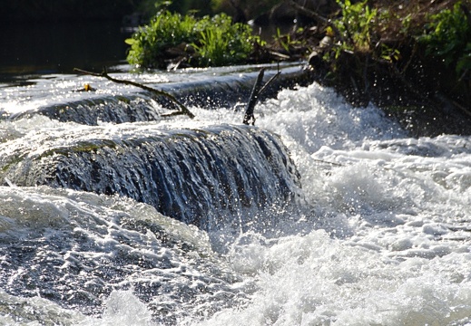 Wasserfall Neustadt (8)