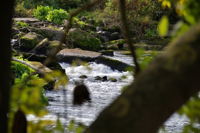 Wasserfall Neustadt (32).jpg
