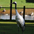 Tierpark Ströhen (19)