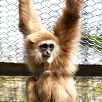 Tierpark Ströhen