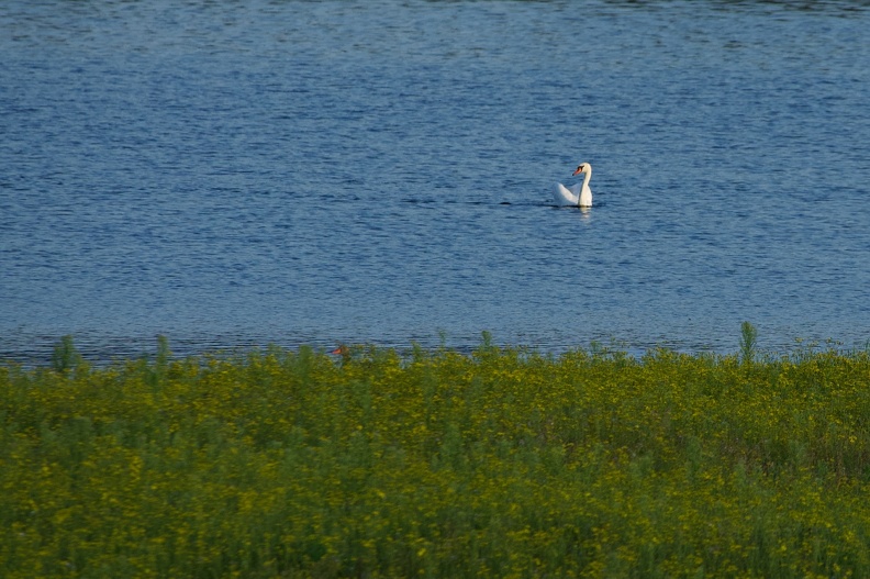 DSC06122.jpg