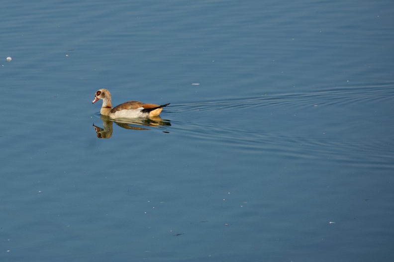 DSC06254.jpg