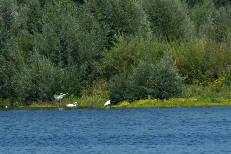 DSC06455.jpg