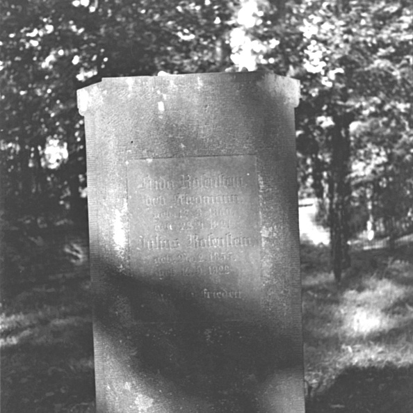 BILD1561.jpg