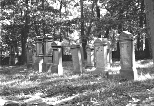 Jüdischer Friedhof Neustadt