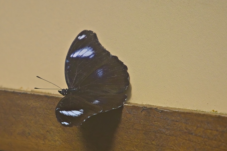 64001070.jpg