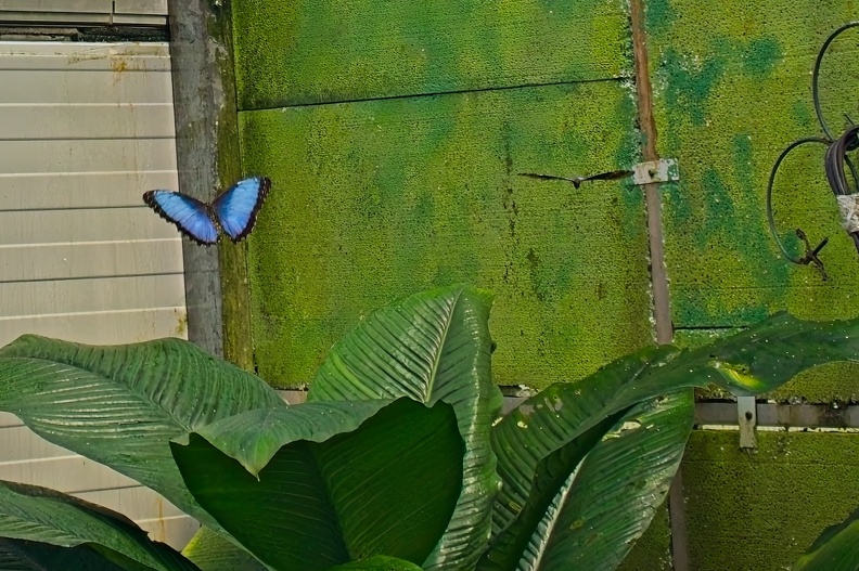 64001366.jpg