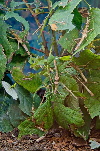 64001422.jpg