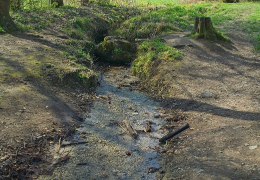 DSC06935