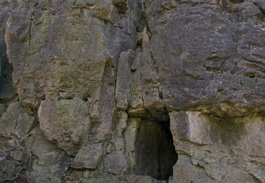 DSC06969