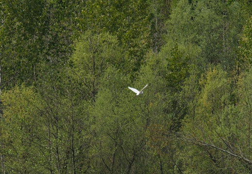 A6700558