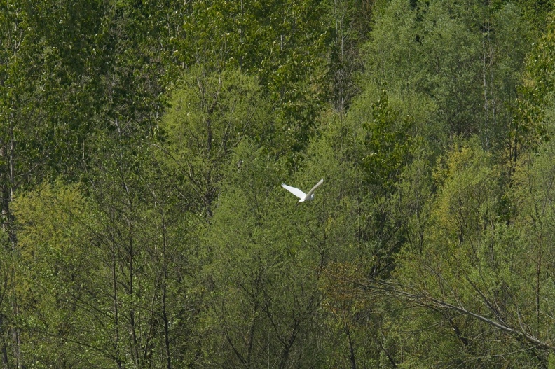 A6700558.jpg